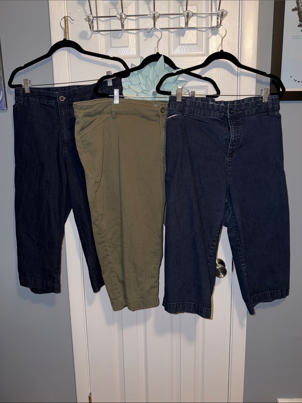 Set of 3 SJB Capris